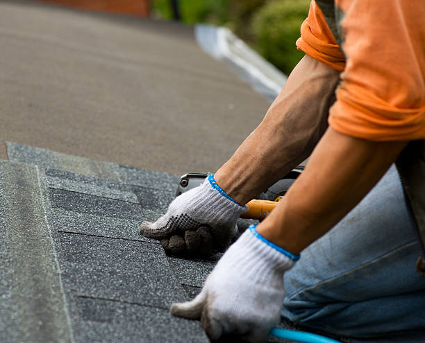 Trusted Berkley, CO Roofing Contractor Experts